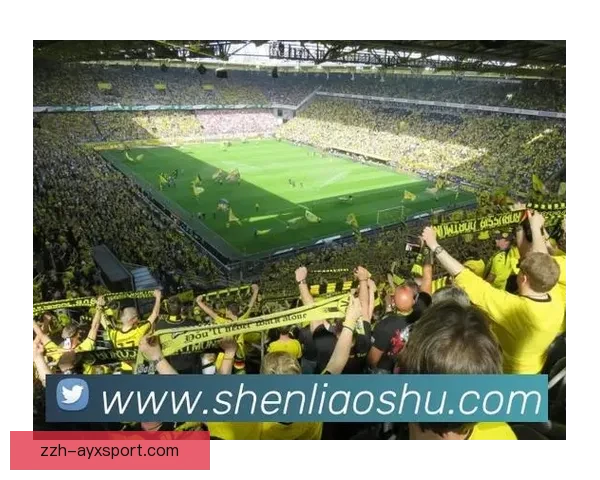 聚焦全球足球比赛在线直播精彩赛事实时解读与互动体验全程分析与数据